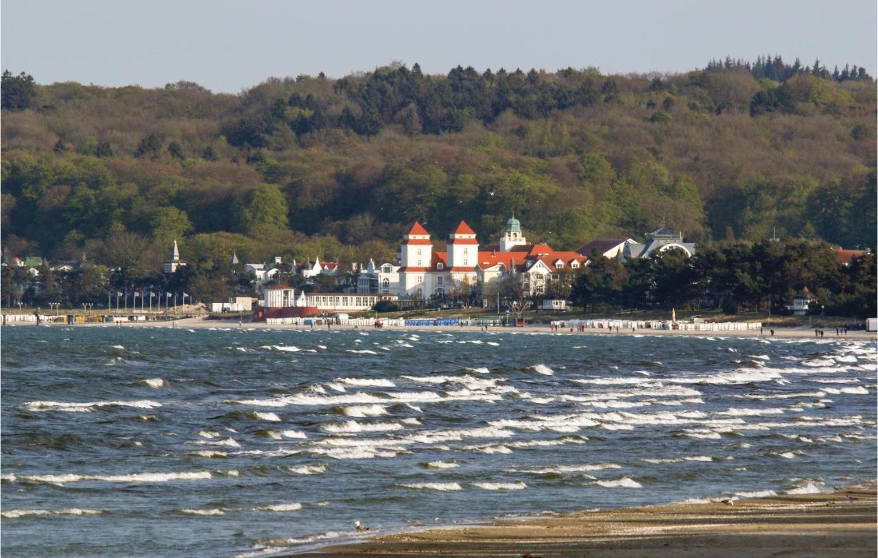 Prince Binz Eksteriør bilde